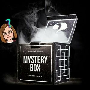 Woman's clothing mystery box